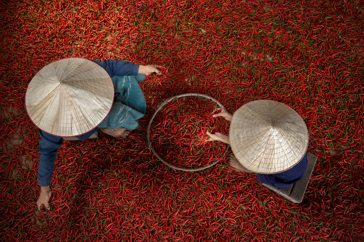 poster-print-chilli