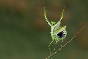 acrylic-print-are-you-gonna-dance-with-me