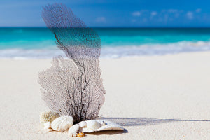 framedposter-print-beach-art