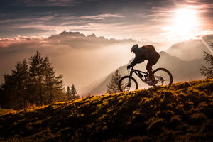 framedposter-print-golden-hour-biking-x