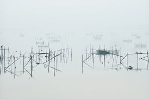 canvas-print-inba-x