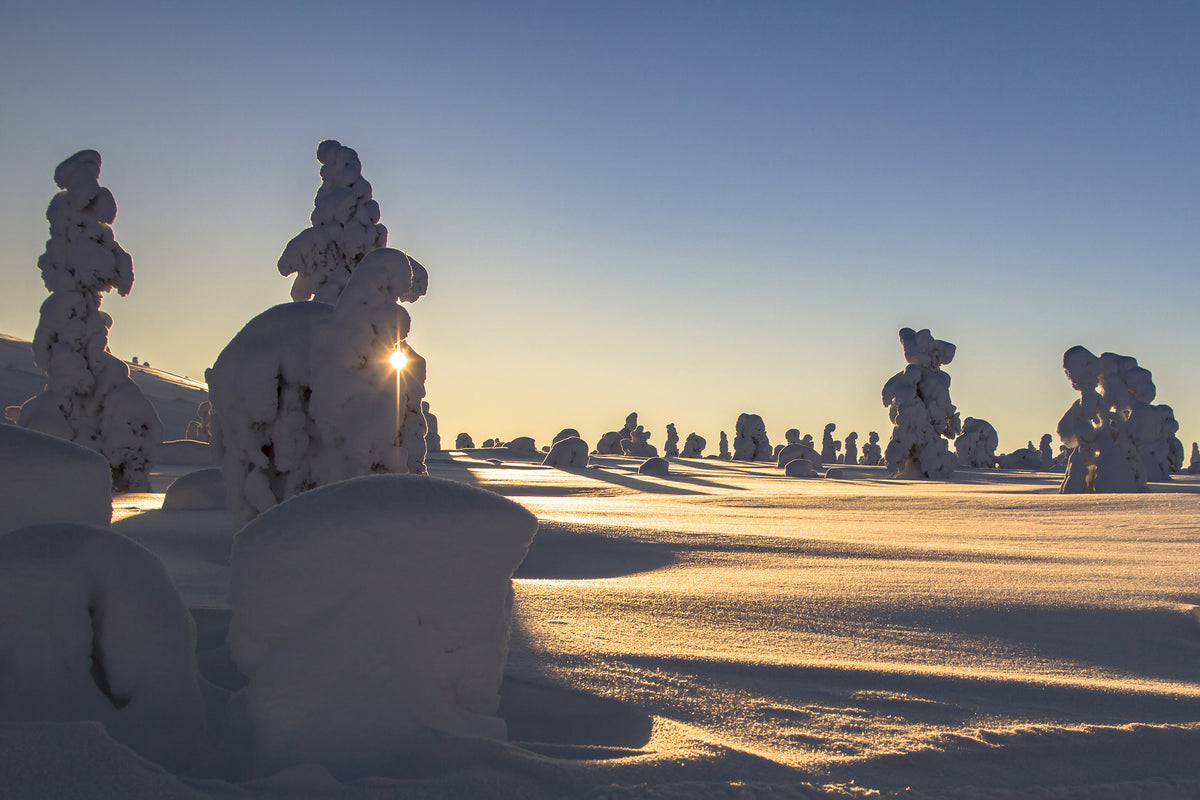 framedposter-print-in-lapland