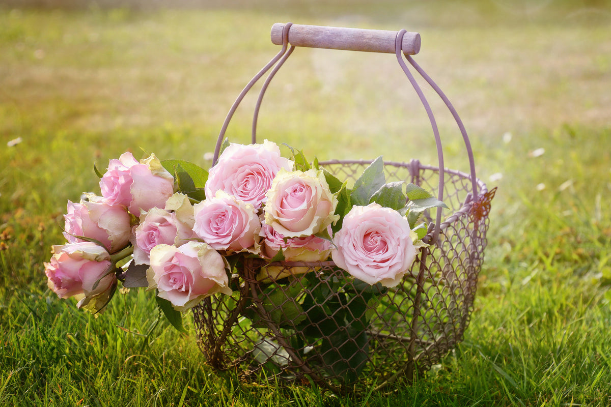canvas-print-a-basket-full-of-roses