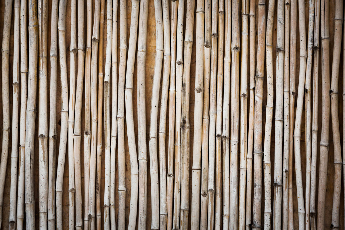 3-piece-aluminium-print-dried-bamboos