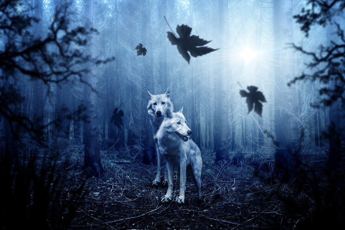 framedcanvas-print-wolf39s-couple