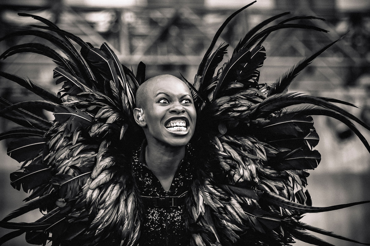 3-piece-aluminium-print-skunk-anansie