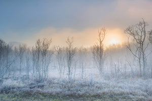 acrylic-print-a-touch-of-winter