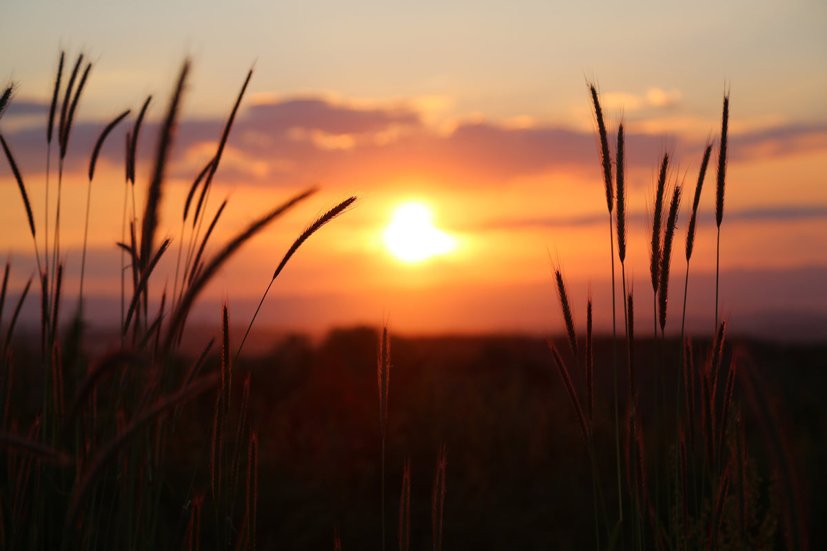 acrylic-print-adorable-sunset