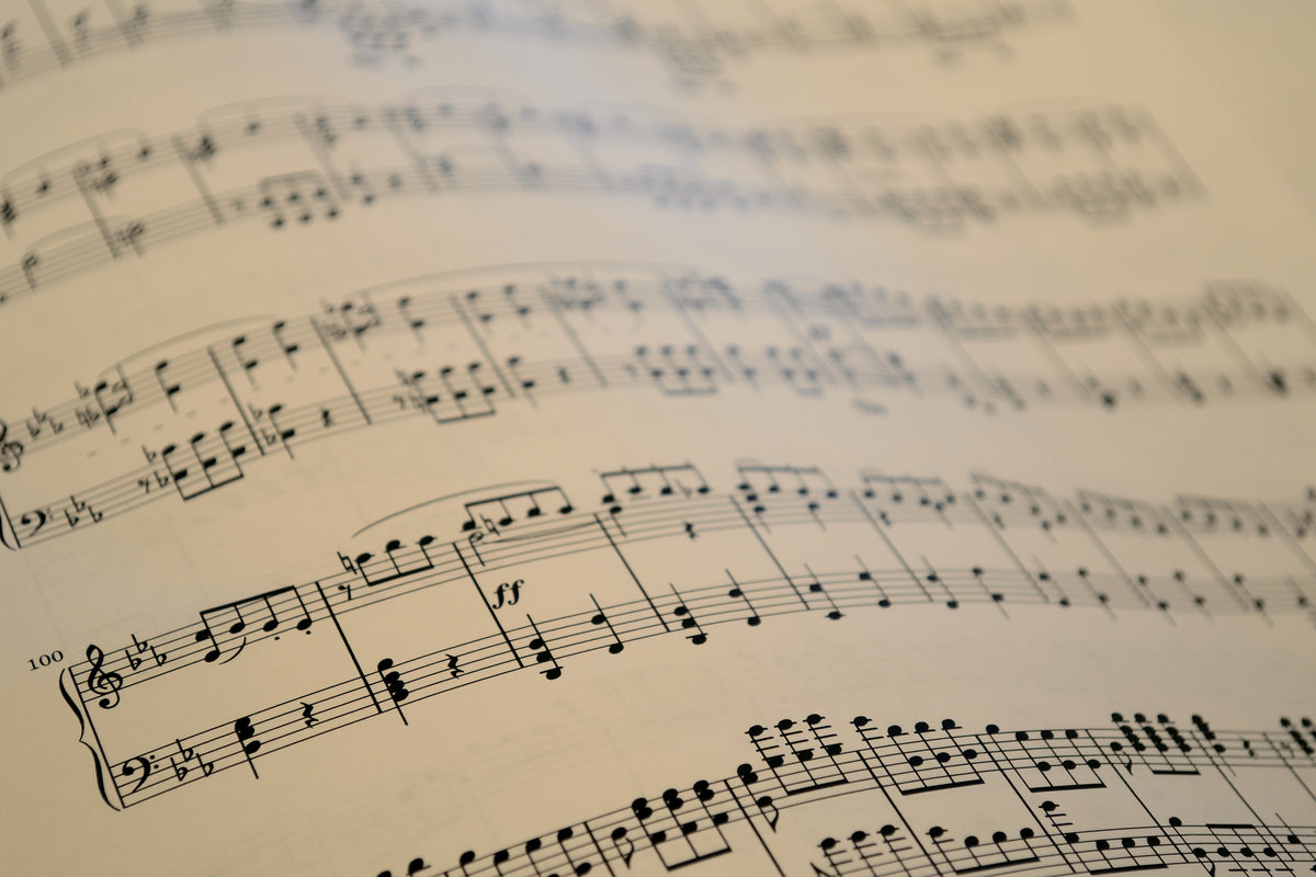 canvas-print-the-music-notes