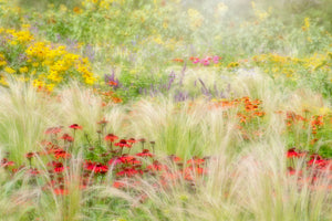 framedcanvas-print-summer-reverie-x