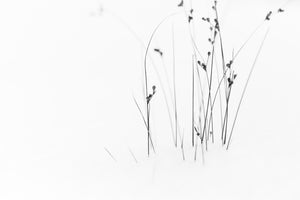 framedcanvas-print-black-on-white