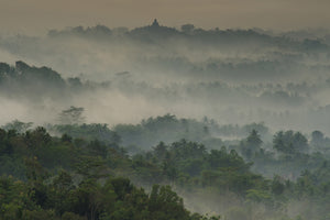poster-print-temple-in-the-mist