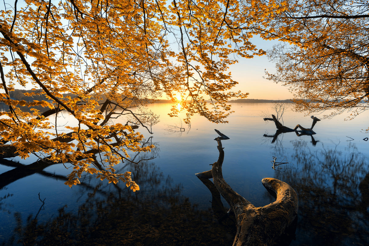 acrylic-print-autumn-morning-xoq