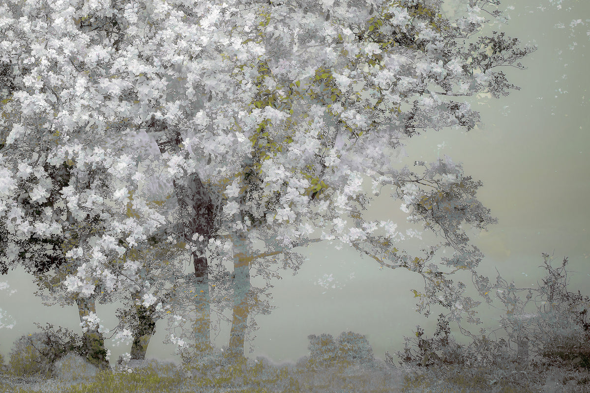 poster-print-spring-xep