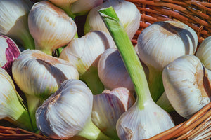 3-piece-aluminium-print-fresh-garlic