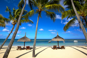 framedcanvas-print-mauritius