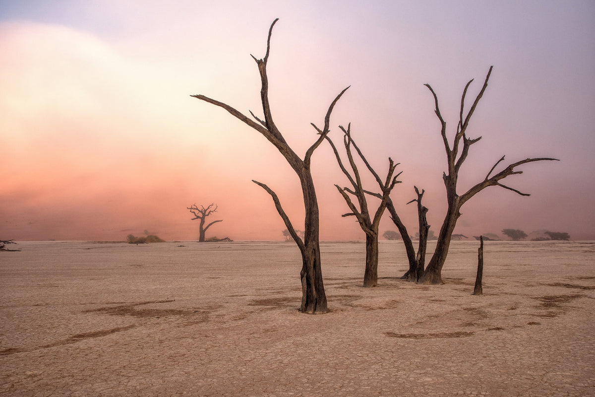 3-piece-canvas-print-fog-in-deadvlei