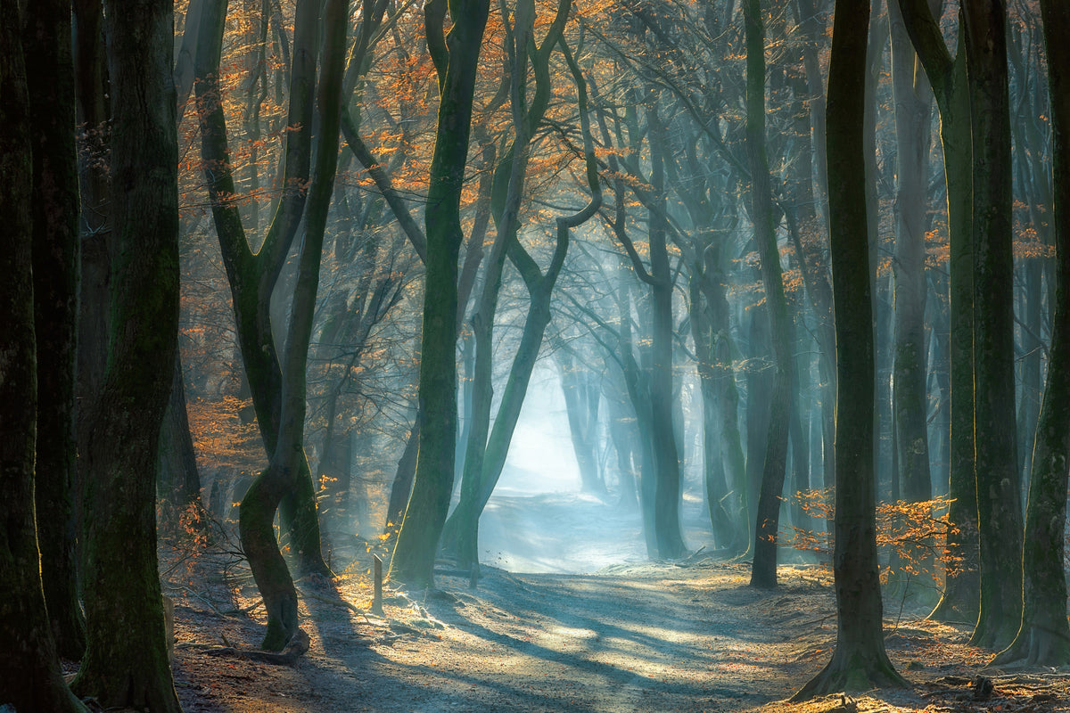 framedposter-print-cold-light-x
