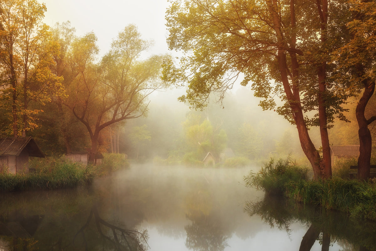 framedposter-print-foggy-autumn-x