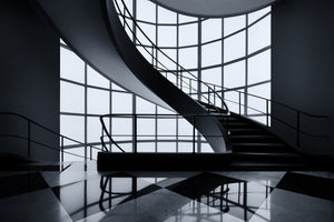 aluminium-print-the-graceful-ascent-x