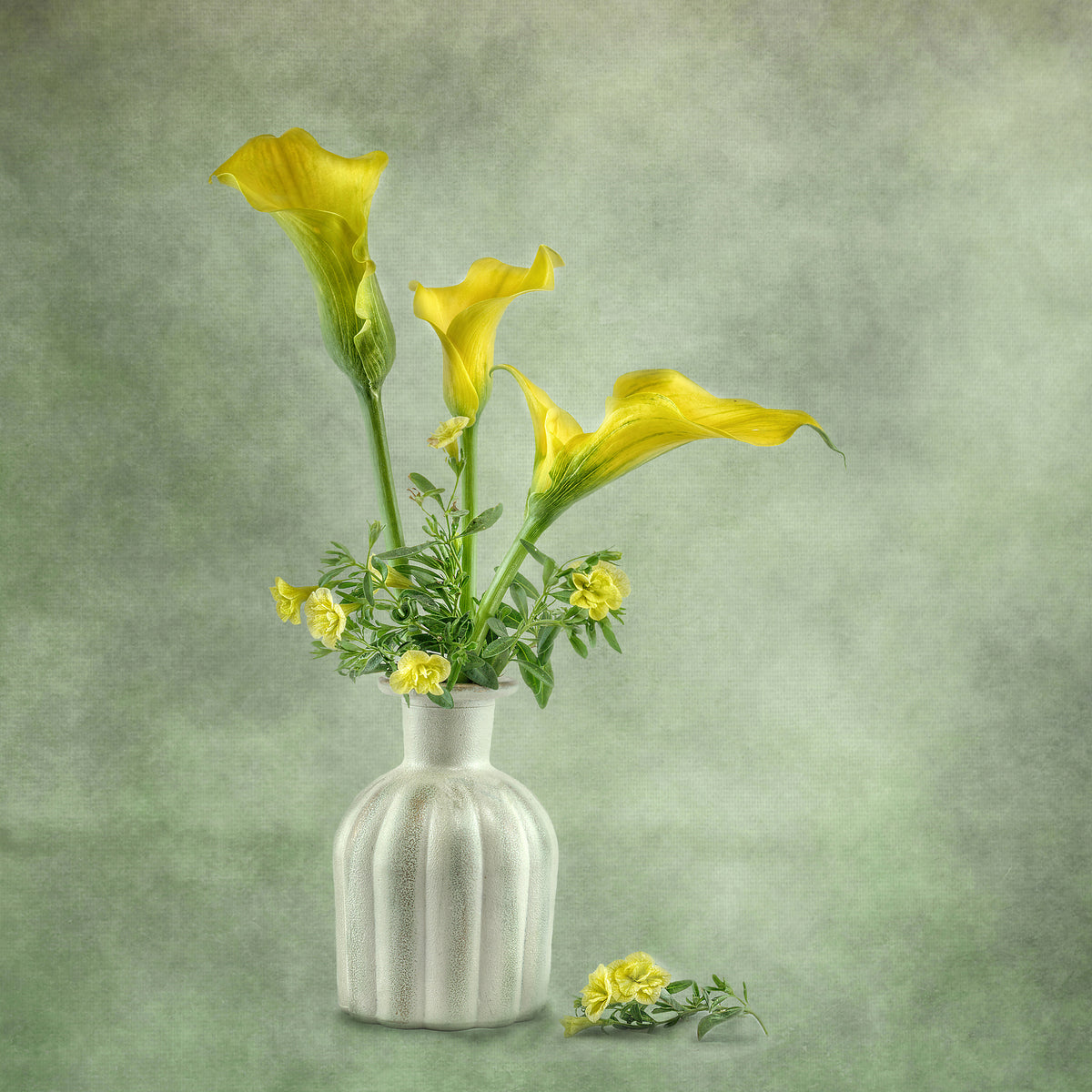 aluminium-print-calia-lillies