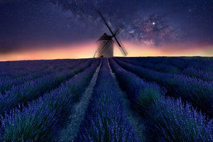 acrylic-print-lavender-night-x