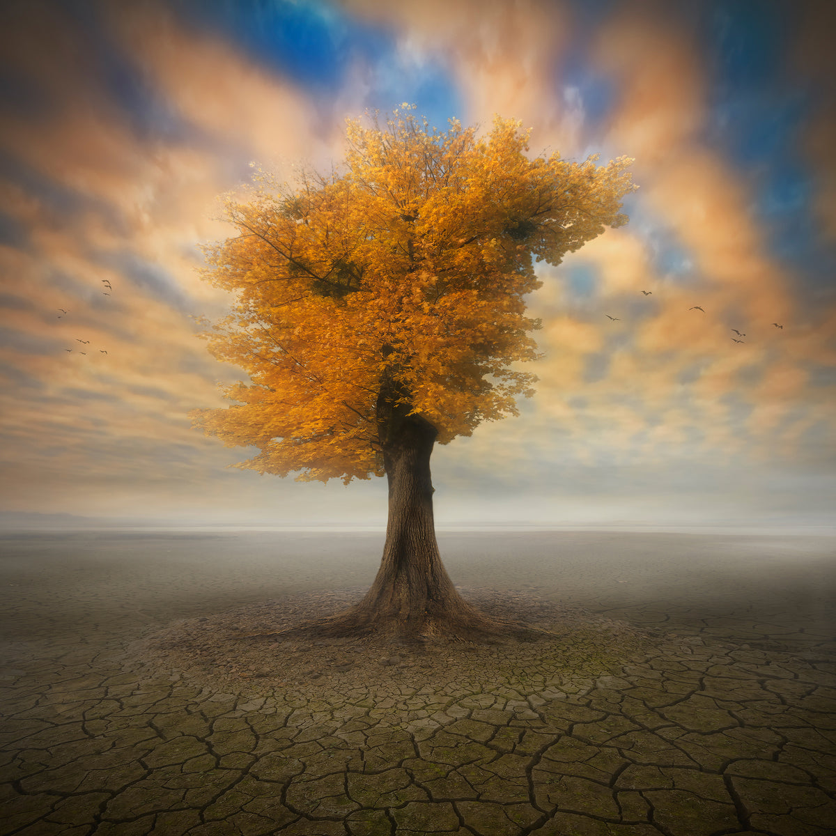 canvas-print-lonesome