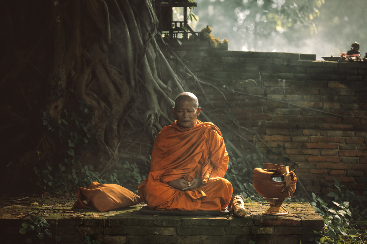 canvas-print-no-xvii