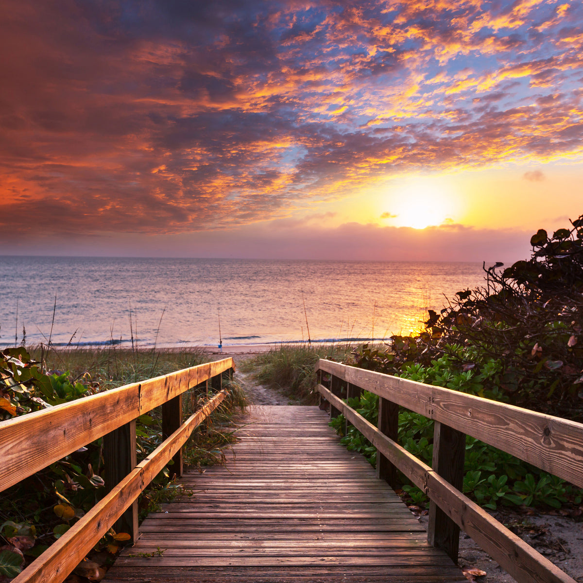 aluminium-print-beautiful-sunset-i