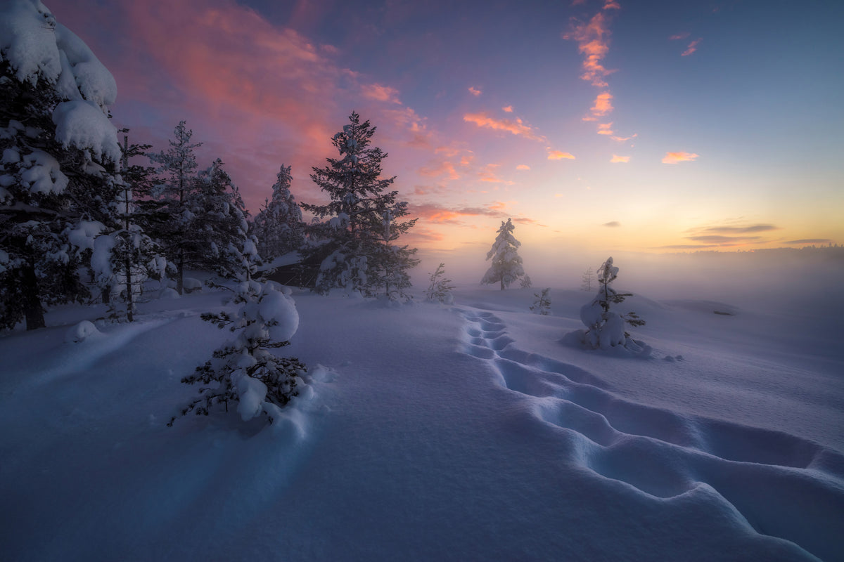poster-print-winter-steps-x