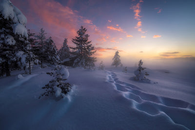 poster-print-winter-steps-x