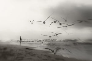 canvas-print-quiet-dreams-x