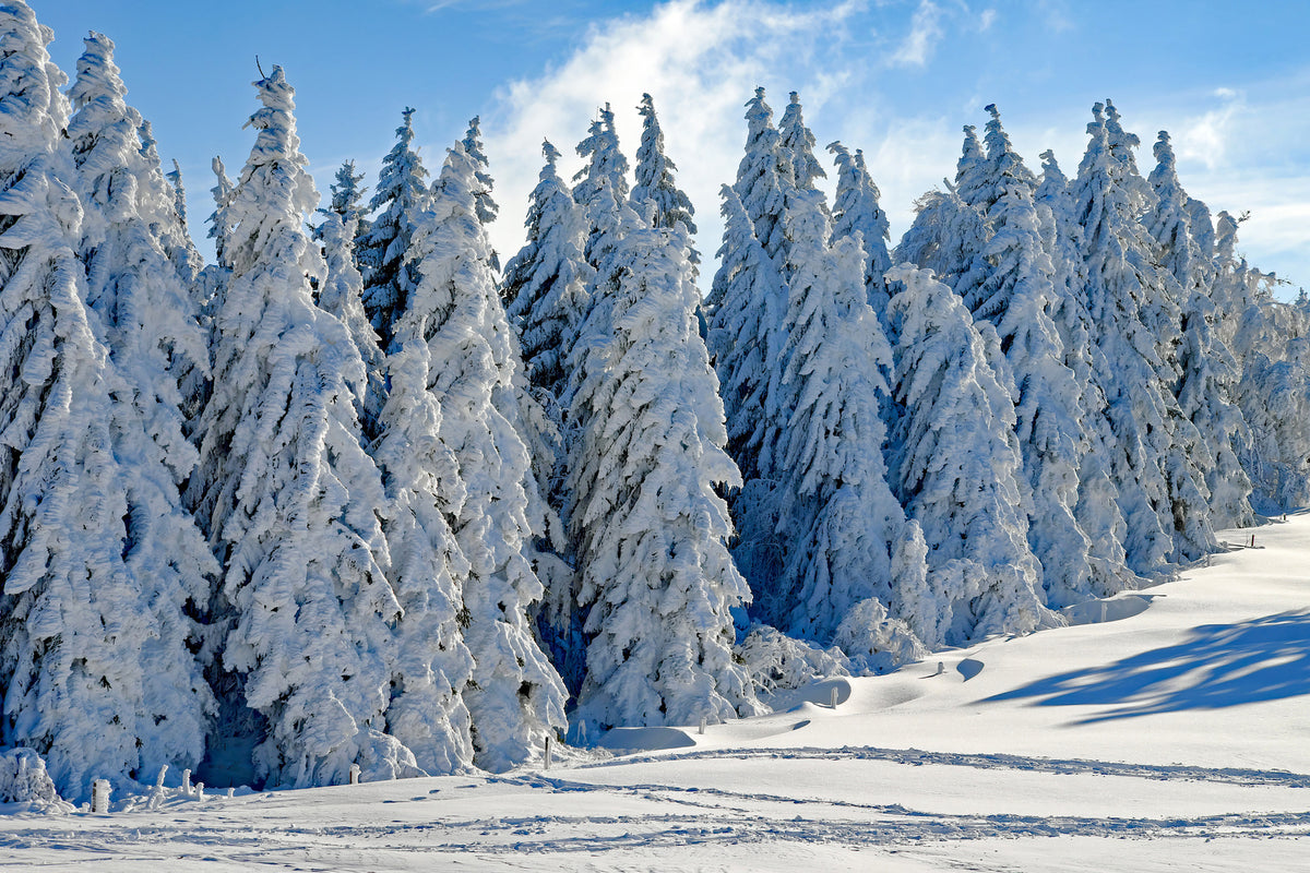 aluminium-print-beautiful-winter-landscape