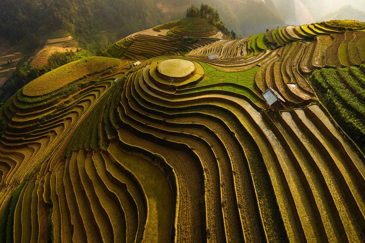 canvas-print-mu-cang-chai-vietnam-x