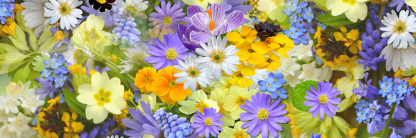 panoramic-aluminium-print-fresh-spring-flowers-panorama