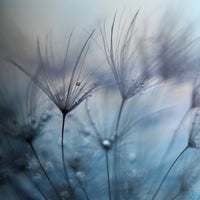 4-piece-acrylic-print-teardrops