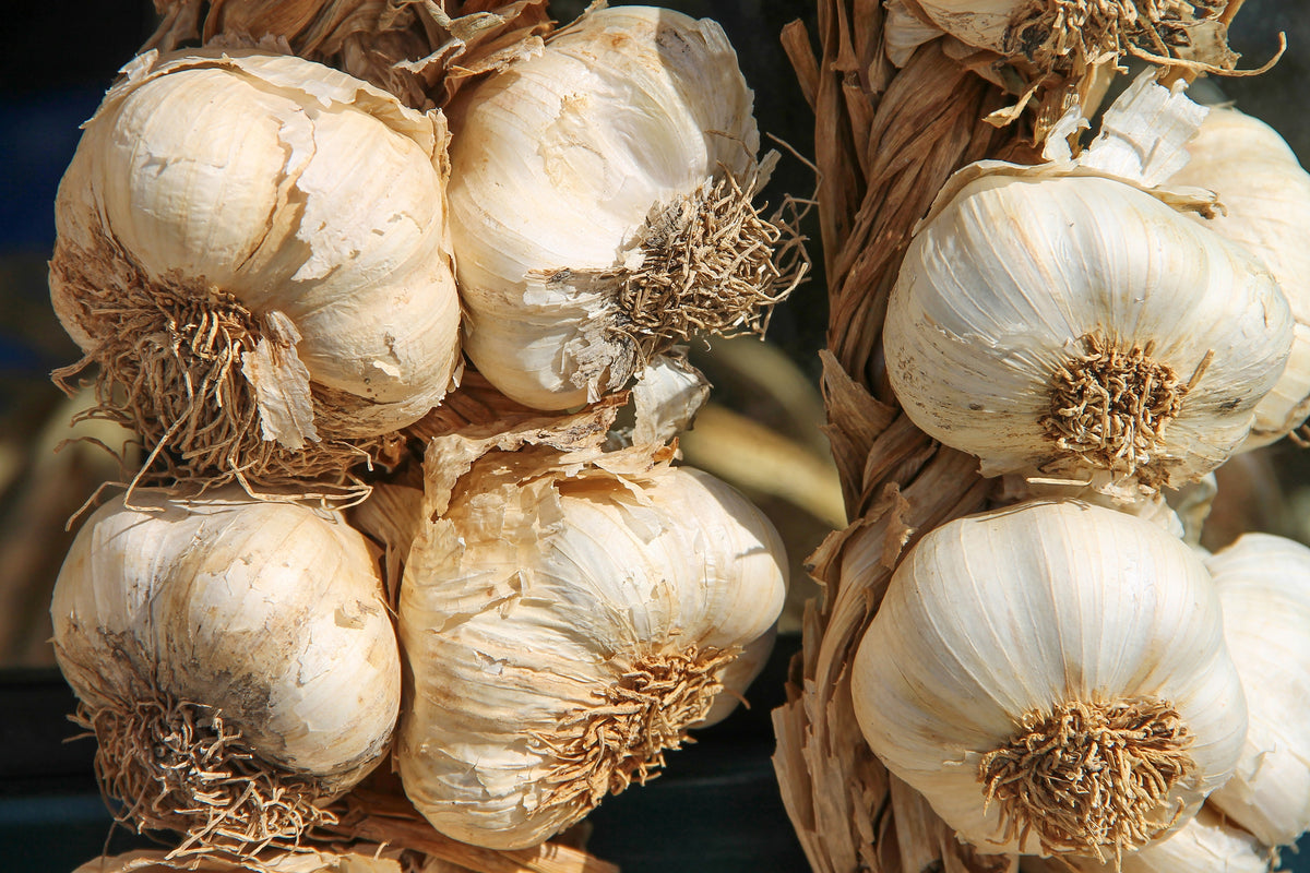 3-piece-aluminium-print-the-garlic-xl