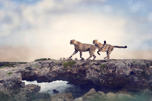 modern-3-piece-canvas-print-two-cheetahs