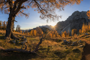 framedposter-print-autumn-paradise-x
