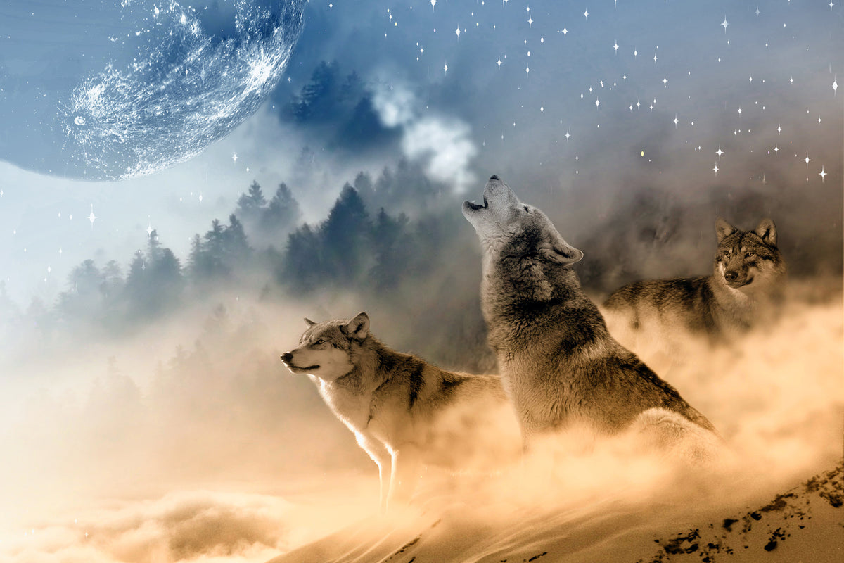 3-piece-acrylic-print-the-world-of-wolves