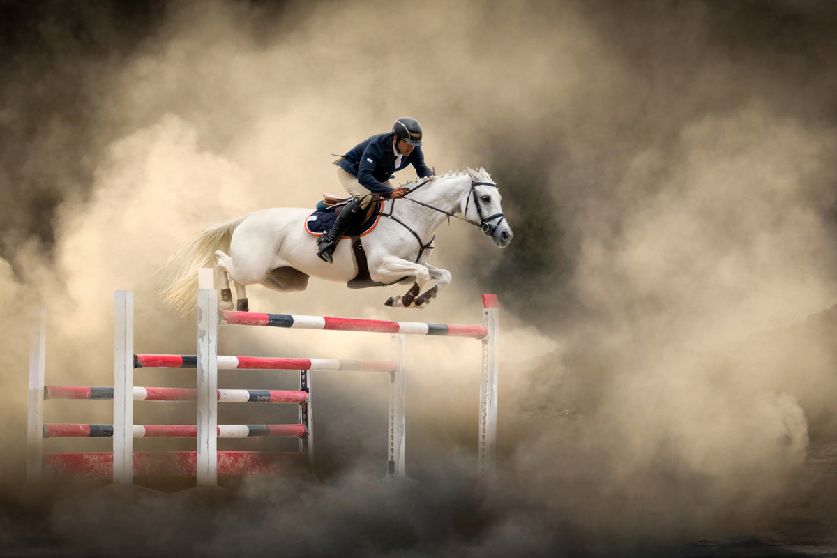 aluminium-print-white-horse-x