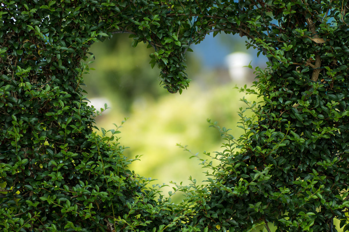 modern-3-piece-canvas-print-the-heart-in-the-hedge