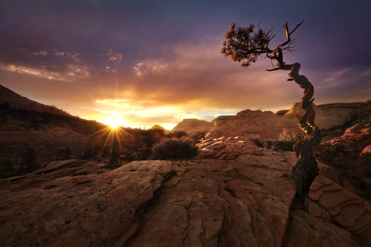 canvas-print-distorted-x