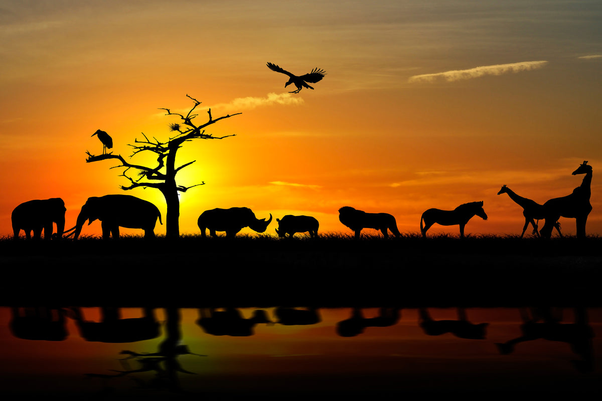 framedcanvas-print-safari-animals-at-sunset