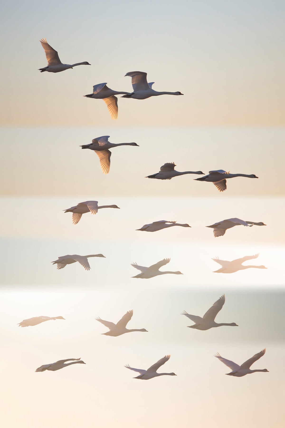 acrylic-print-past-the-sun