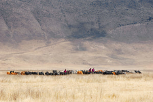 3-piece-canvas-print-incredible-maasai