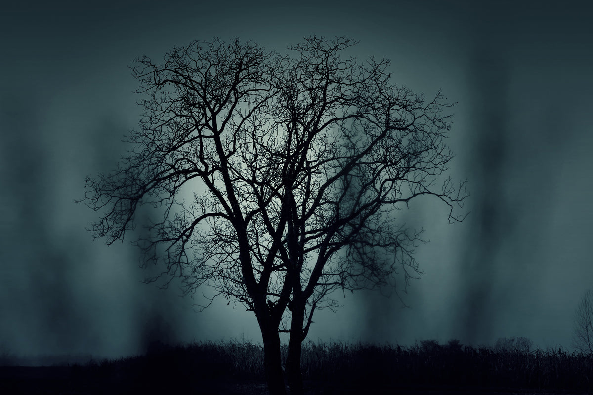 modern-3-piece-canvas-print-the-tree-in-darkness