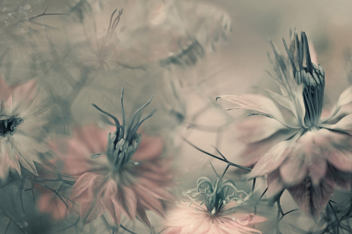 3-piece-aluminium-print-the-virgins-ll