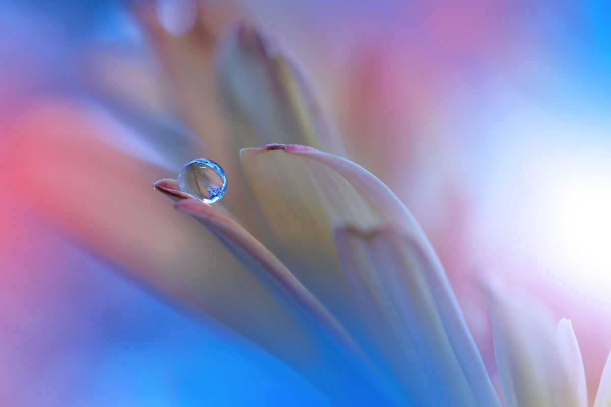poster-print-touch-me-softly