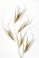 framedposter-print-delicacy-of-nature